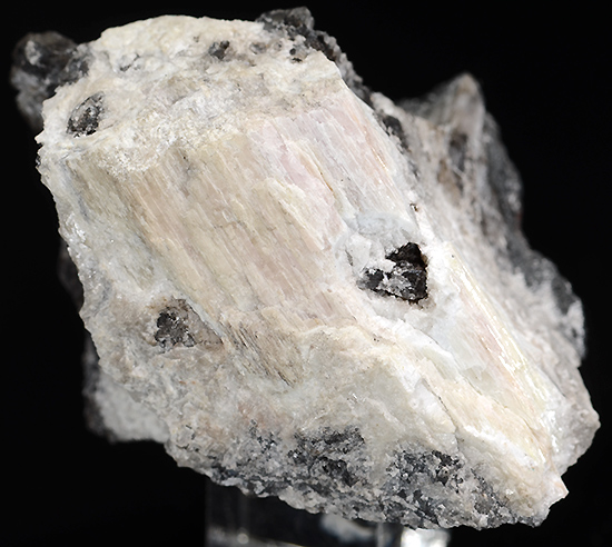 Mendipite - Torr Works Quarry (Merehead Quarry), Cranmore, Somerset, England, UK
