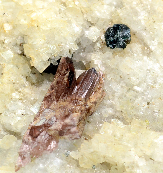 Tilasite - Mt. Cervandone area, Devero Alp, Baceno, Devero Valley, Antigorio Valley, Ossola Valley, Verbano-Cusio-Ossola Province, Piedmont, Italy