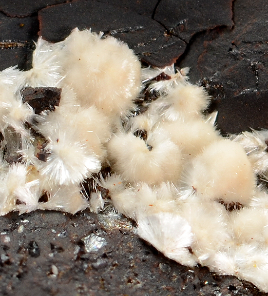 Churchite-(Y) - Maffei Mine ,Auerbach, Upper Palatinate, Bavaria, Germany (Type Locality)