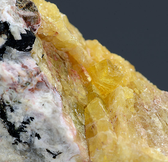 Meliphanite - Stokk�ya, Langesundsfjorden, Larvik, Vestfold, Norway