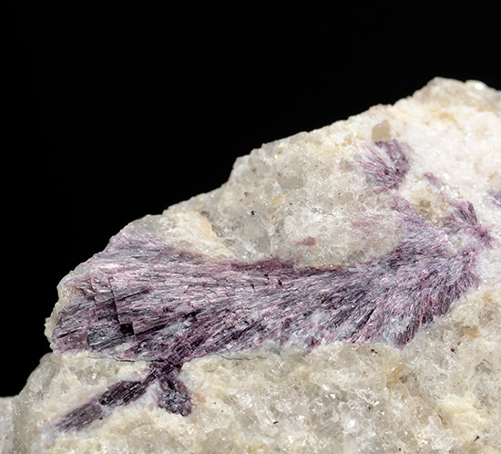 Dumortierite - Dehesa,  San Diego Co.,  California,  USA