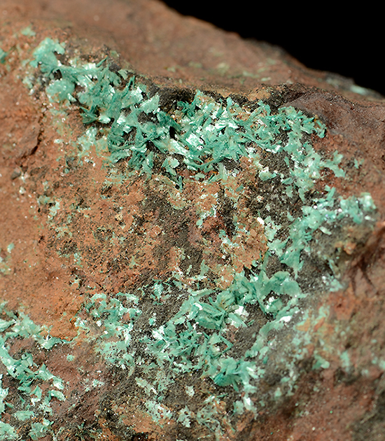 Botallackite - Levant Mine, Trewellard, Botallack - Pendeen Area, St. Just District, Cornwall, England, UK