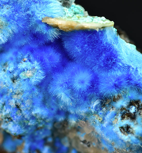 Cyanotrichite - Qinglong Sb-Au deposit - Qinglong Co. - Qianxi'nan Autonomous pref. - Guizhou prov. - China