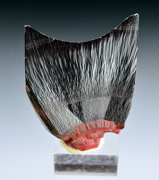 Hematite - Taouz, Er Rachidia Province, Mekn�s-Tafilalet Region, Morocco