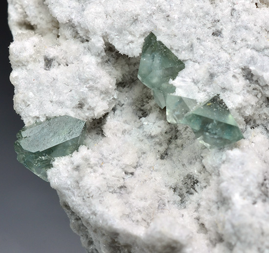 Boracite on Anhydrite - Gl�ckauf Mine, Sondershausen, Thuringia, Germany