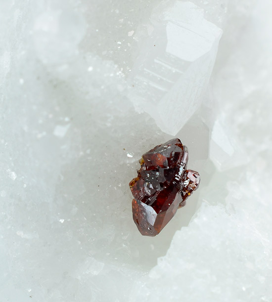 Sphalerite over marble - Fantiscritti quarry - Carrara - Apuan Alps - Massa Carrara prov. Tuscany - Italy