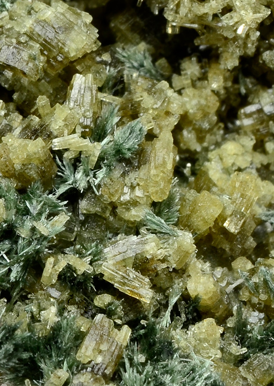 Pyrosmalite-(Fe) - Monchi Mine, Burguillos del Cerro, Badajoz, Extremadura, Spain