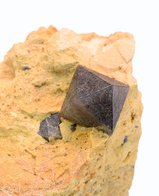 Quartz (morion) - Monteriggioni quarries, Monteriggioni, Siena Province, Tuscany, Italy