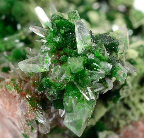 Nickelaustinite - Bou Azzer District, Tazenakht, Ouarzazate Province, Dr�a-Tafilalet Region, Morocco