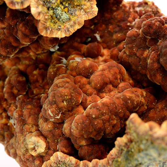 Ferrierite-Mg - Albero Bassi, Santorso, Vicenza, Veneto , Italy