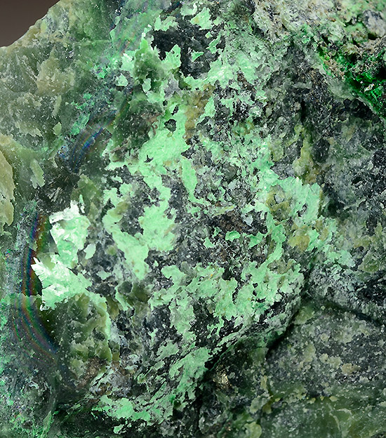 Hellyerite with Zaratite - Lord Brassey Mine, Heazlewood district, Waratah-Wynyard municipality, Tasmania, Australia (TL)