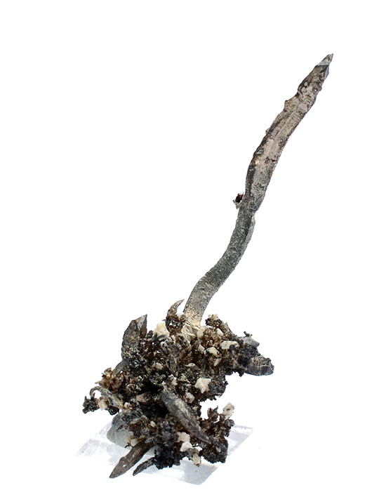 Silver - Batopilas, Andres del Rio District, Mun. de Batopilas, Chihuahua, Mexico