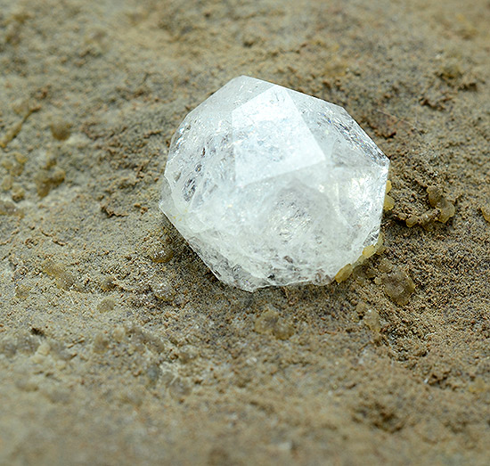 Analcime - Duingen Clay Pit, Alfeld, Lower Saxony, Germany