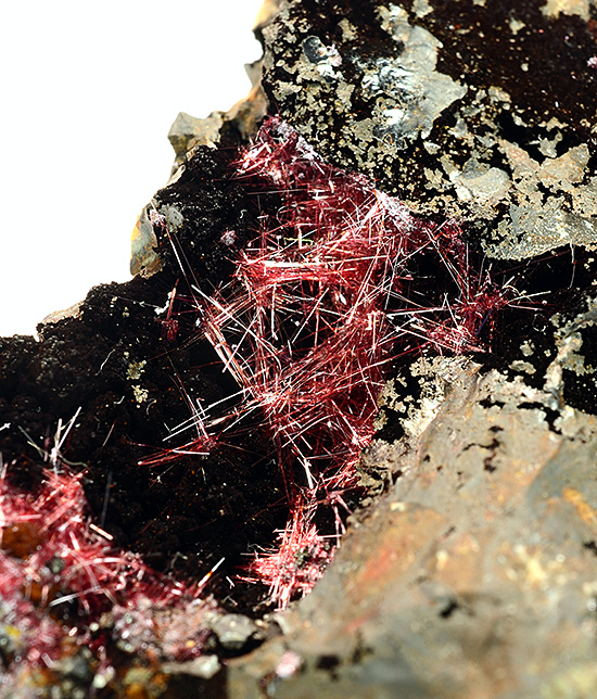Cuprite var. Chalcotrichite - Daye Mine - Hubei Prov. - China