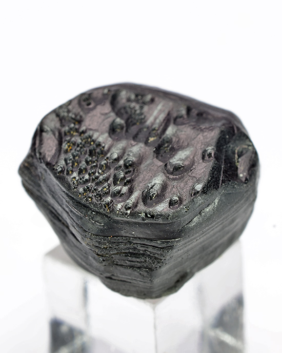 Serendibite  - Mogok Township,  Pyin-Oo-Lwin District,  Mandalay Division,  Burma (Myanmar)