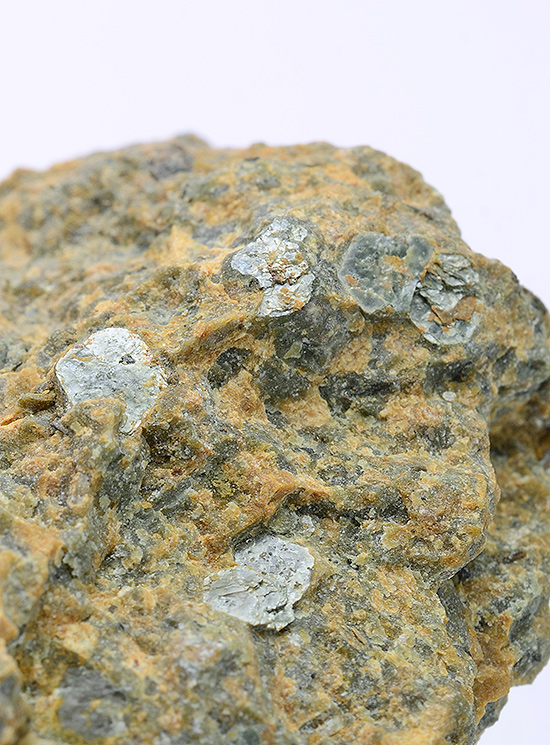 Sudoite - Cedec Valley - Gran Zebr�, Valfurva - Sondrio prov. - Lombardy - Italy