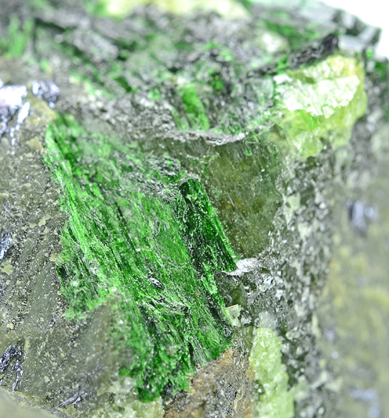 Szenicsite - Jardinera 1 Mine - Inca de Oro - Atacama Region  - Chile (Type Locality)