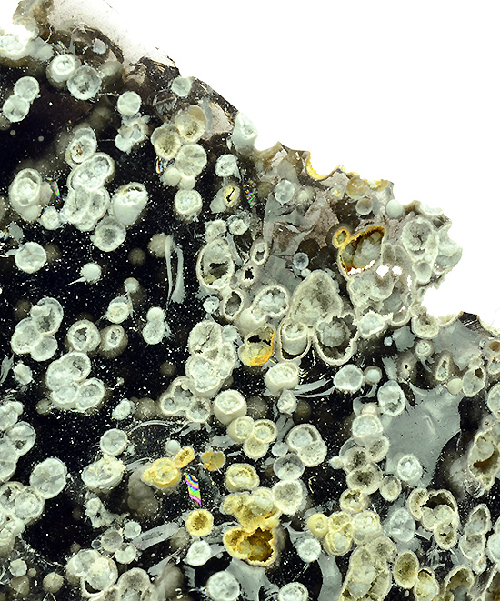 Cristobalite on Obsidian - Canneto, Lipari Island, Sicily, Italy