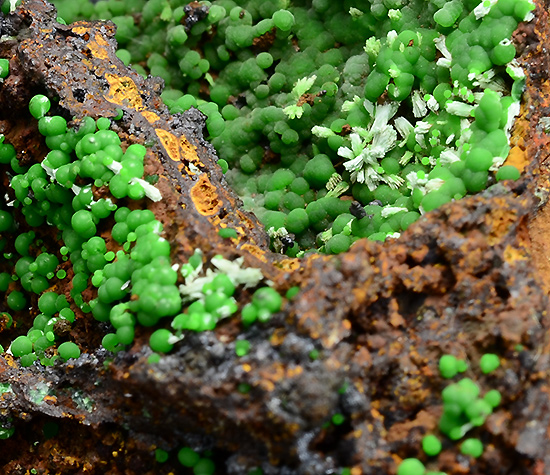 Conichalcite with Olivenite - Christiana mine - Kamariza mines - Laurion - Attica - Greece