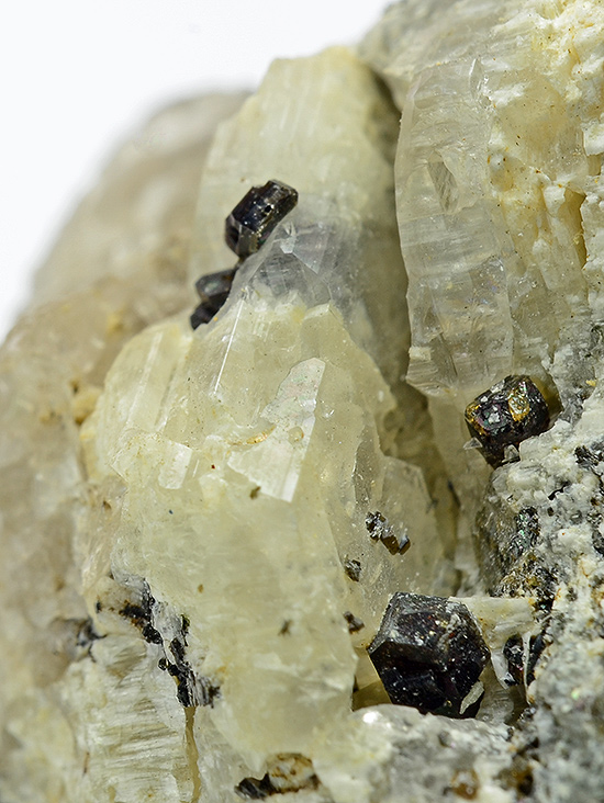 Sacrofanite - Biachella Valley, Sacrofano, Sacrofano Caldera, Rome Province, Latium, Italy (TL)