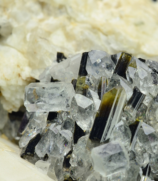 Beryl var. acqua with Elbaite - Rosina vein, San Piero in Campo, Campo nell'Elba, Elba Island, Livorno Province, Tuscany, Italy