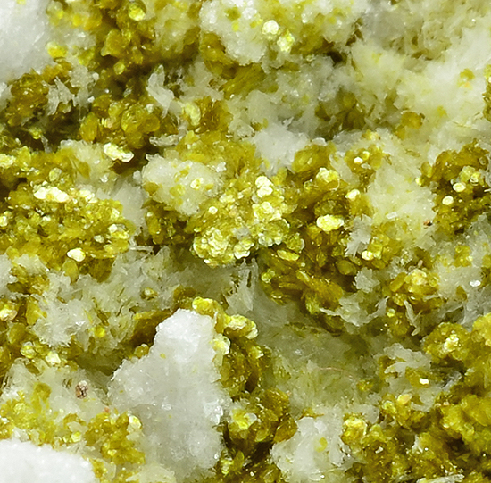 Metavoltine with Tamarugite -  Vulcanello crater, Vulcano Island, Lipari, Eolie Islands, Messina Province, Sicily, Italy