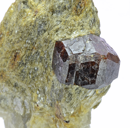 Spessartine garnet - Codera Valley - Novate Mezzola - Valchiavenna - Sondrio prov. - Lombardy - Italy