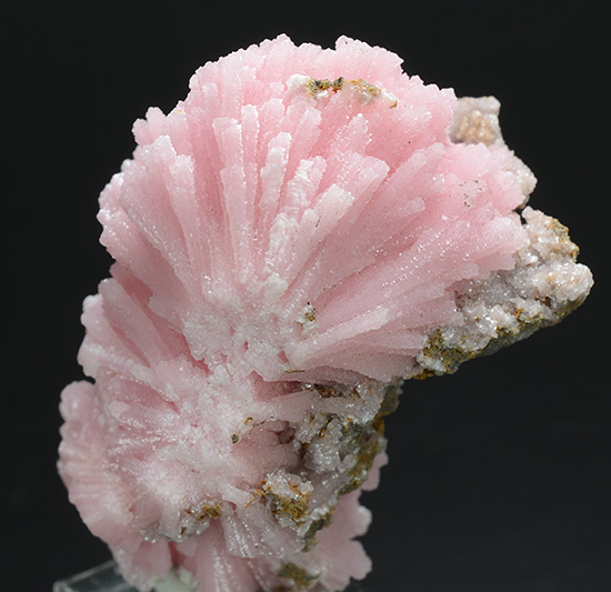 Kutnohorite - Wessels Mine, Hotazel,  Kalahari manganese field,  Northern Cape Province,  South Africa