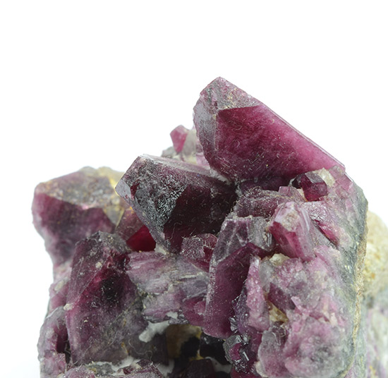 Elbaite var. Liddicoatite - Tsarafara Sud (Ankadilava), Sahatany Valley, Ibity, Antsirabe II, Vakinankaratra, Madagascar