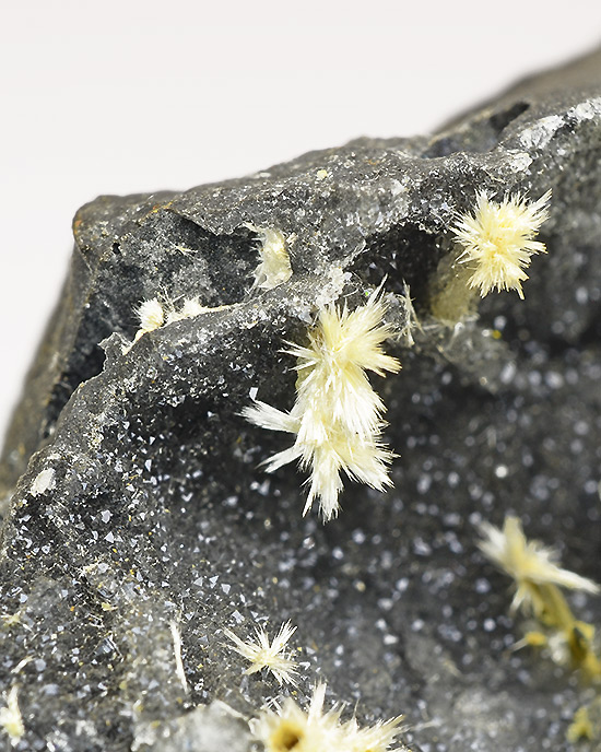 Onoratoite - Le Cetine di Cotorniano Mine - Rosia-Chiusdino - Siena Prov. - Tuscany - Italy (Type Locality)