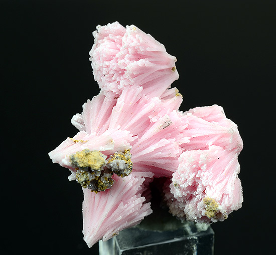 Kutnohorite - Wessels Mine, Hotazel,  Kalahari manganese field,  Northern Cape Province,  South Africa