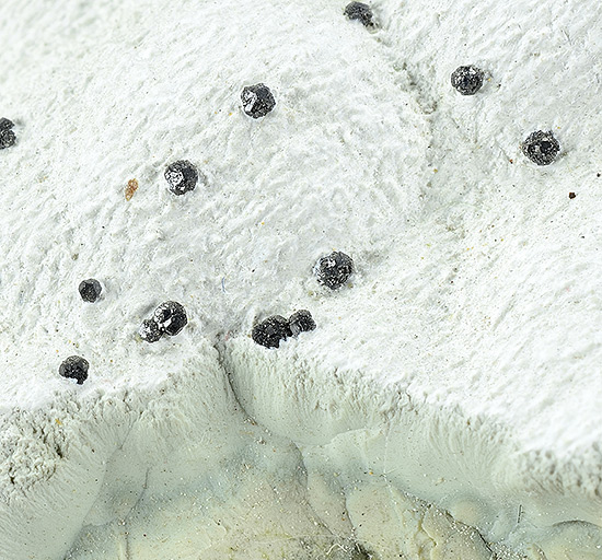 Saponite - Molinetto gravel quarry, Cogoleto, Genoa, Liguria, Italy