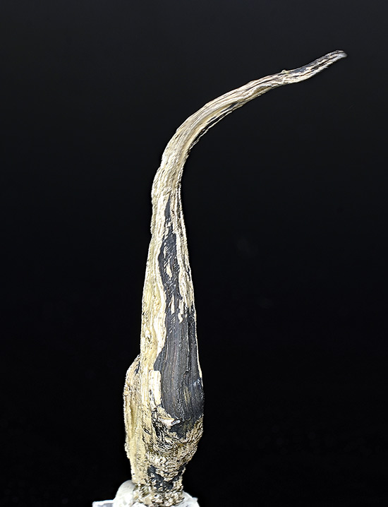 Silver - Hidalgo, Mexico