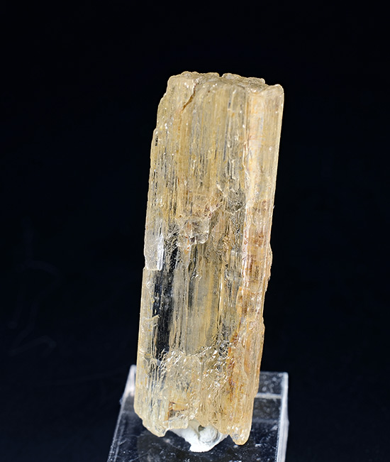 Marialite - Aracruz, Espiritu Santo, Brazil