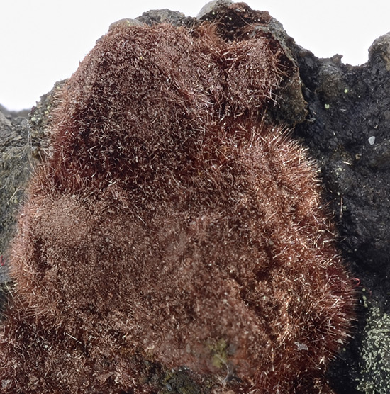 Metahewettite - Cactus Rat Mine, The Poison Strip, Thompsons Mining District, Grand Co., Utah, USA