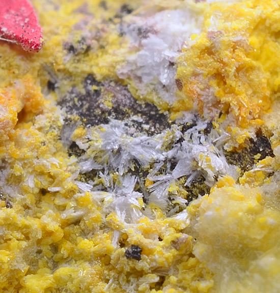 Maricopaite - Moon Anchor Mine, Hummingbird Spring, Osborn Mining District, Maricopa Co., Arizona, USA (Type Locality)