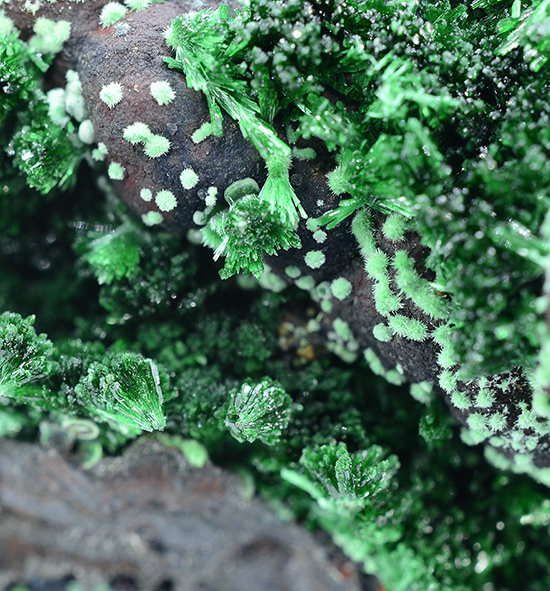 Philipsburgite - Agios Konstantinos, Lavrion mining district, Lavreotiki, East Attica, Attica, Greece