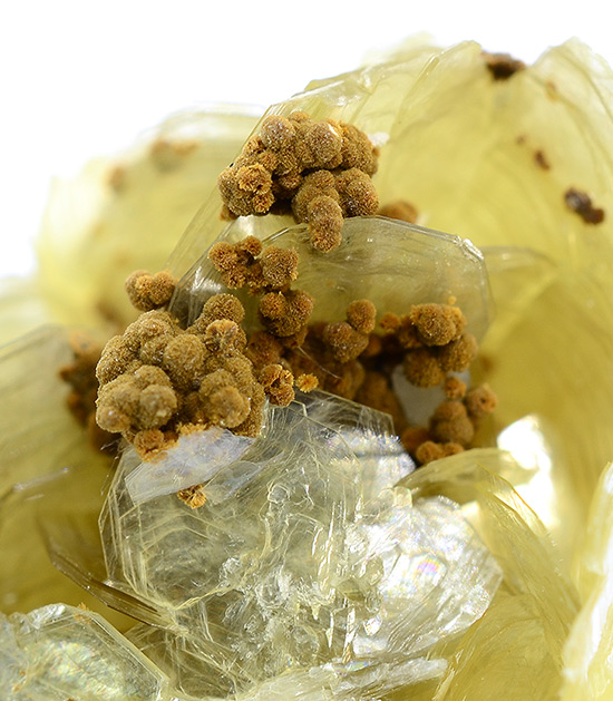 Ruifranconite on Muscovite - Sapucaia Mine - Galileia - Minas Gerais - Brazil