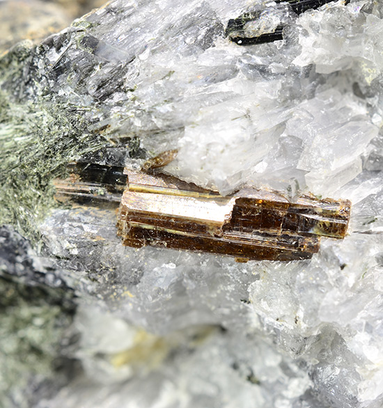 Shcherbakovite - Rasvumchorr Mt, Khibiny Massif, Murmansk Oblast, Russia (Type Locality)