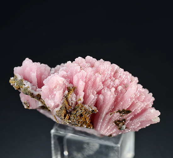 Kutnohorite - Wessels Mine, Hotazel,  Kalahari manganese field,  Northern Cape Province,  South Africa
