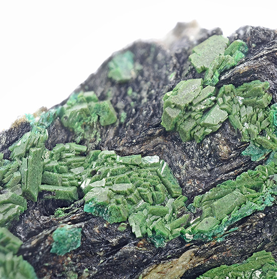 Euchroite - Sv�todu�n� Valley, Liubietov� ore belt, Western Slovensk� Rudohorie Mts, Bansk� Bystrica Region, Slovakia (TL)