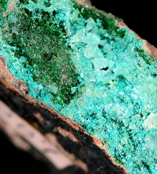 Posnjakite with Brochantite - Drakewalls Mine, Drakewalls, Calstock, Cornwall, England, UK