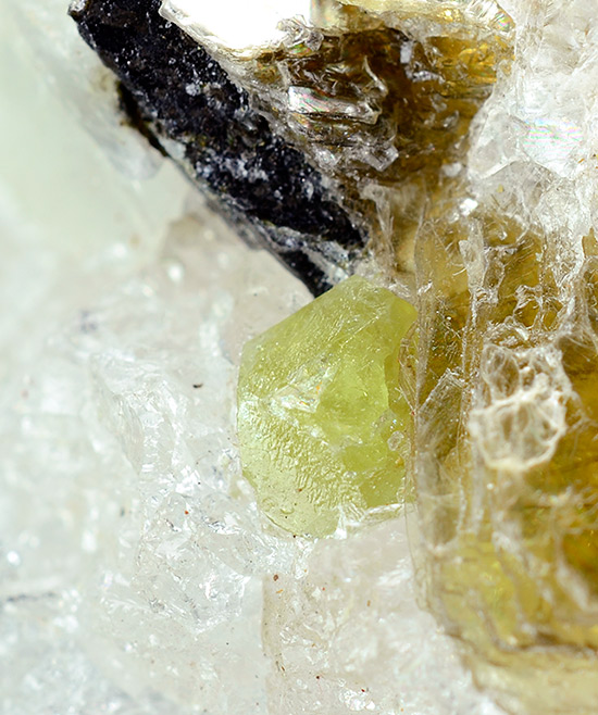 Stillwellite - (Ce) - Dara - i - Pioz Glacier - Alay Range - Tien Shan Mts. - Tadjikistan