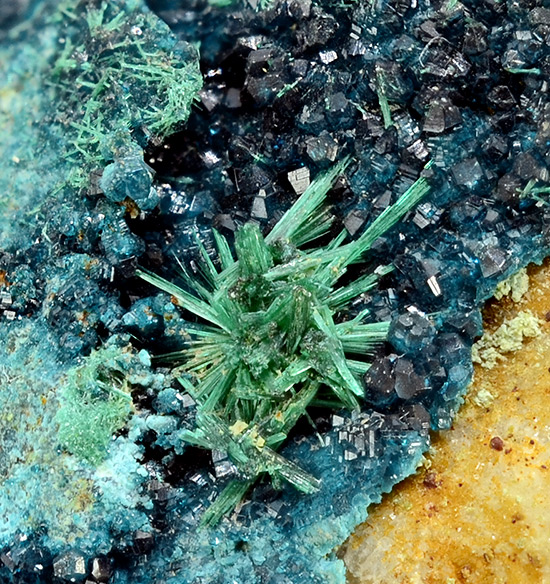 Spangolite and brochantite - Blanchard Mine, Bingham, Hansonburg District, Socorro Co., New Mexico, USA