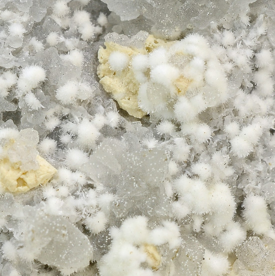 Dresserite - Francon quarry, Montr�al, Qu�bec, Canada (TL)