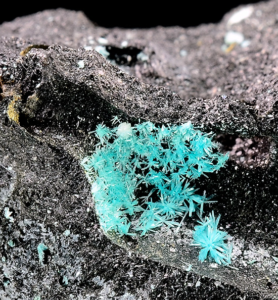 Caledonite  - Schlackental (slag locality), Oberschulenberg, Clausthal-Zellerfeld, Harz, Lower Saxony, Germany