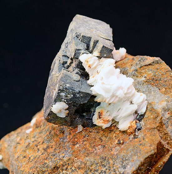 Galena - Tabarka, Tunisia