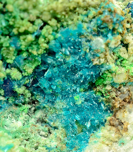 Guanacoite  (TL) and Conichalcite, El Guanaco Mine, Taltal, Antofagasta Province, Antofagasta, Chile
