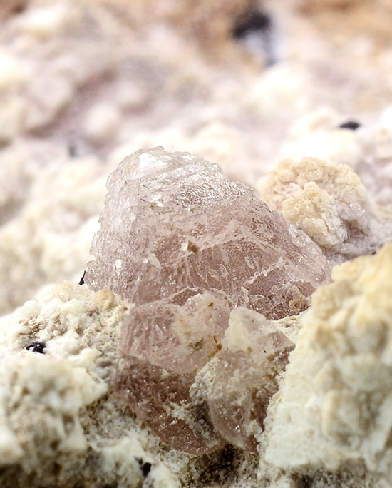 Zektzerite - Washington Pass, Golden Horn Batholith, Okanogan Co., Washington, USA (TL)