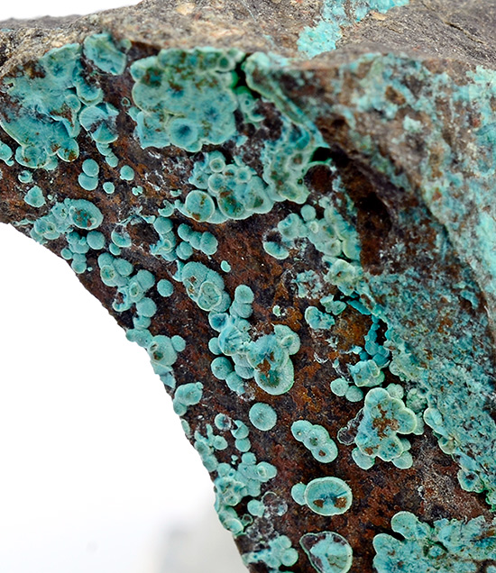 Mcguinnesite with Vuagnatite - Copper King Mine, Red Mountain, Red Mountain District, Mayacmas Mts , Mendocino Co., California, USA (Type Locality)